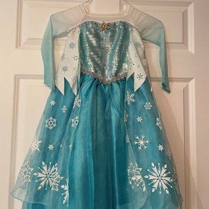 Elsa dress / Gown / Costume